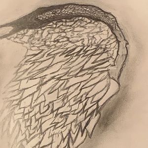 Meet your Posher, Trisha